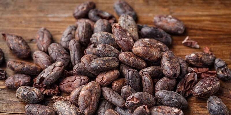 Kakaobohnen